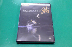 シマノ_2015入れ掛かりＤＶＤ