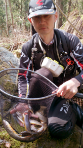 米代川犀川支流岩魚