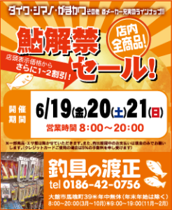 アユ解禁セール2015