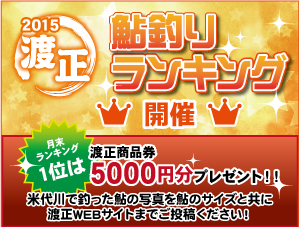 米代川　鮎ランキング