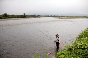 鮎釣り4