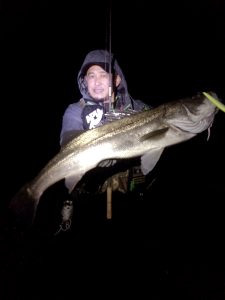 米代川シーバス３