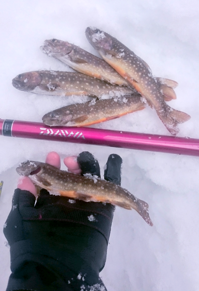 盛岡-岩魚釣果2