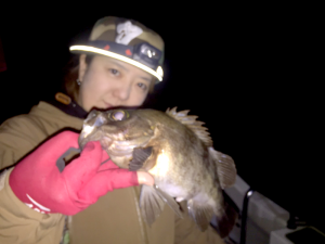 2016年秋田県能代港釣果