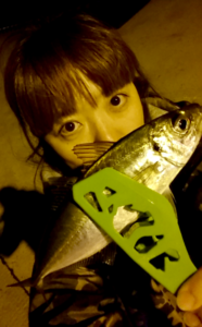 秋田県岩舘港釣りアジ