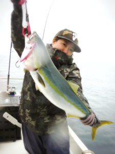 2016年青森県鯵ヶ沢沖釣果情報ブリ