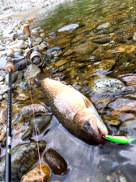 2016年秋田県阿仁本流渓流釣り