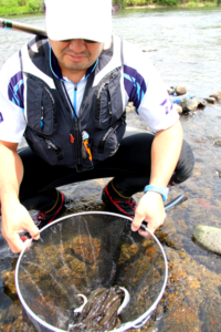 米代川鮎解禁初日-7