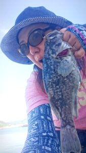 八森アジ釣りソイ