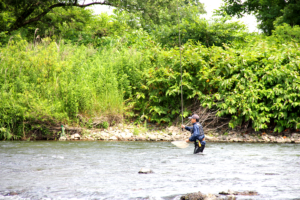 米代川鮎解禁初日-3