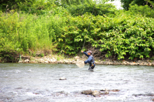 米代川鮎解禁初日-4