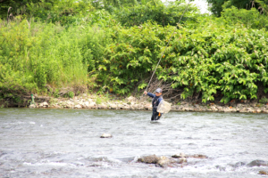 米代川鮎解禁初日-5