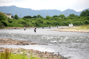 米代川鮎解禁初日-1