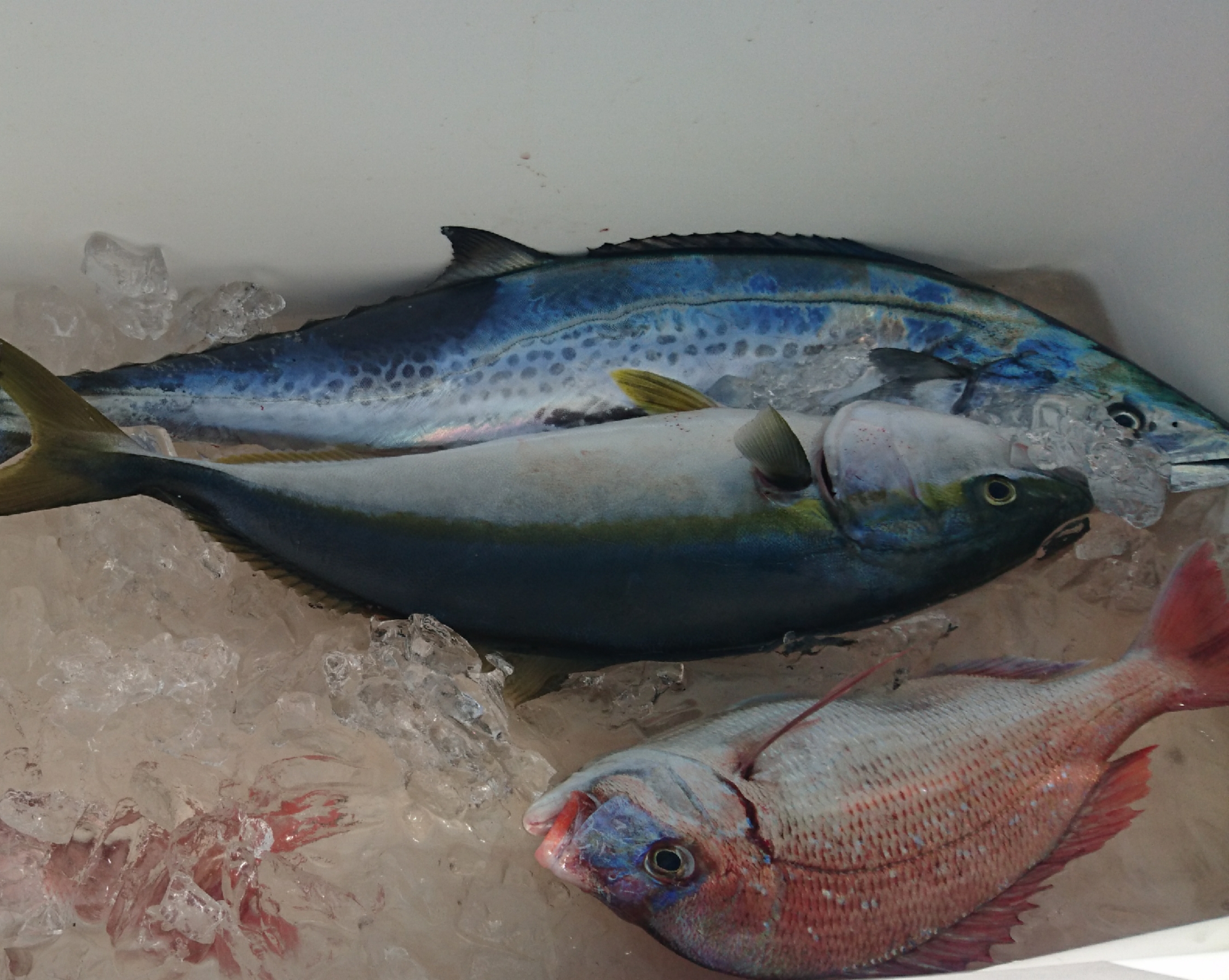 16-08-16-11-30-44-691_deco