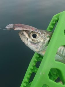 16-07-05-20-50-34-619_deco