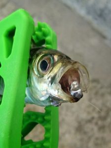 16-07-23-23-33-20-763_deco