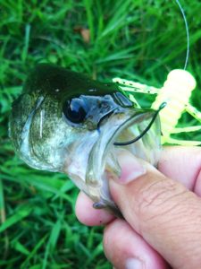 16-08-31-17-44-24-411_deco