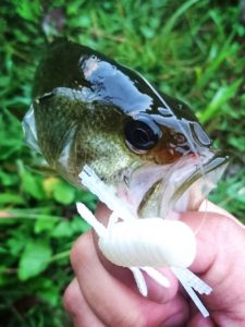 16-09-06-20-02-32-231_deco