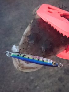 16-09-17-18-34-04-578_deco