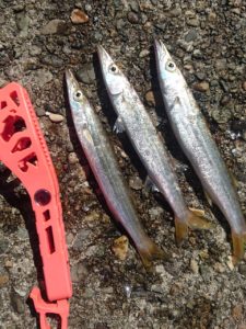 16-09-19-12-27-26-370_deco