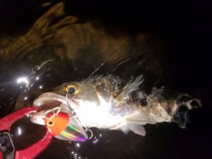 FB_IMG_1473041637977