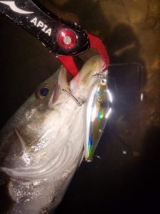 FB_IMG_1473041761718