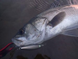 fb_img_1474259951582