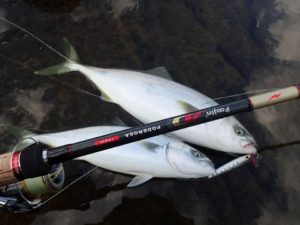 14724649_1803721129906782_6224548186099426380_n