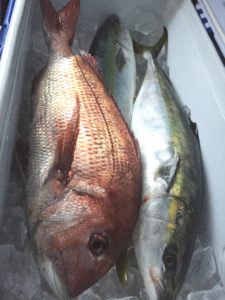 16-11-23-09-29-51-328_deco