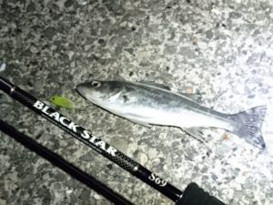 16-12-12-17-37-29-531_deco