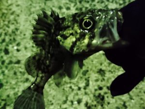 17-01-03-19-50-08-525_deco