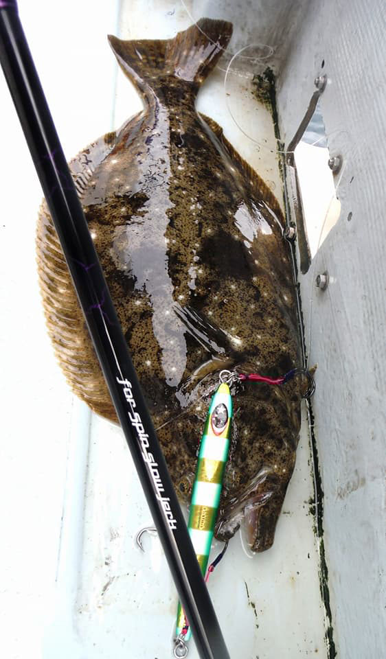 青森県鰺ヶ沢沖 釣果