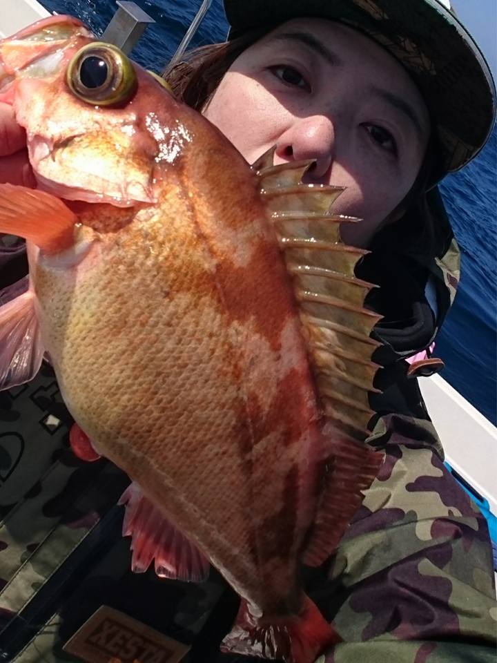 青森県鰺ヶ沢沖釣果