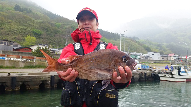 秋田県男鹿市 真鯛釣果