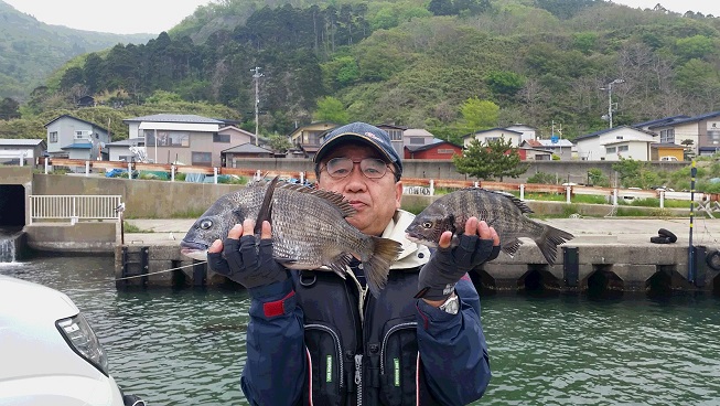 秋田県男鹿市加茂港 黒鯛釣果2