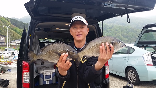 秋田県男鹿市加茂港 クロダイ釣果3