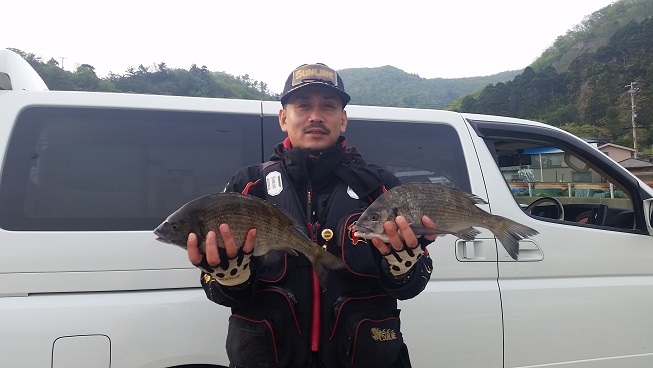 秋田県男鹿市加茂港 クロダイ釣果4