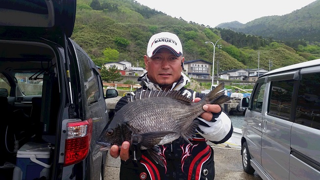秋田県男鹿市加茂港 クロダイ釣果1