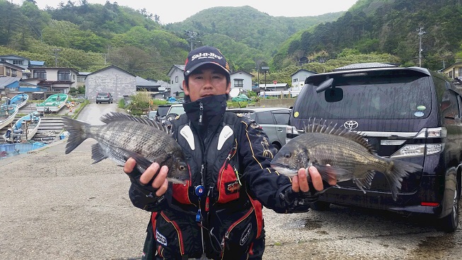 秋田県男鹿市加茂港 黒鯛釣果3