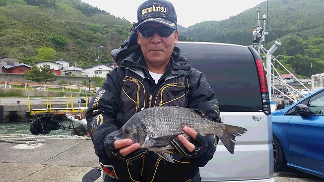 秋田県男鹿市加茂港 クロダイ釣果2
