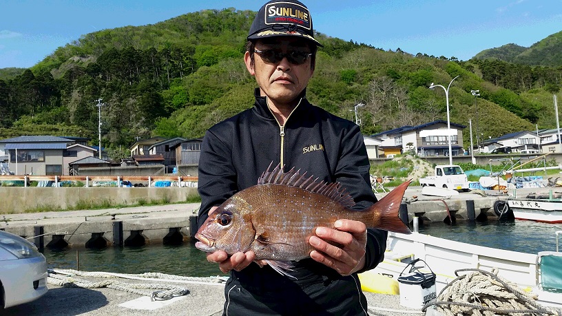 秋田県男鹿市 マダイ釣果2
