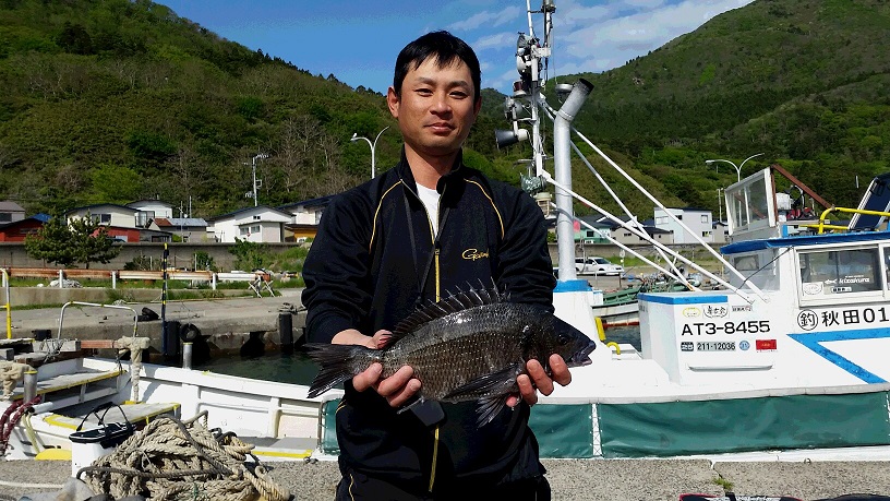 秋田県男鹿市加茂港 クロダイ釣果2