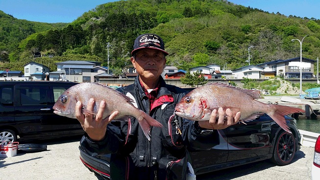 秋田県男鹿市 マダイ釣果2