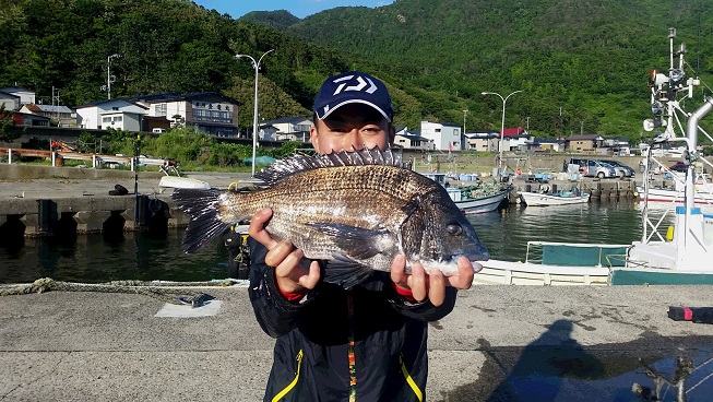 6月5日男鹿市加茂沖磯釣果3