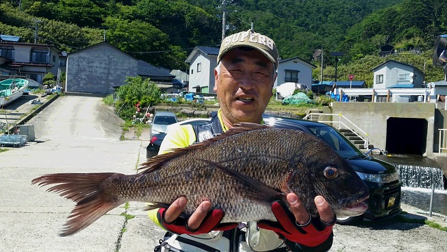 6月17日男鹿市加茂沖磯釣果1