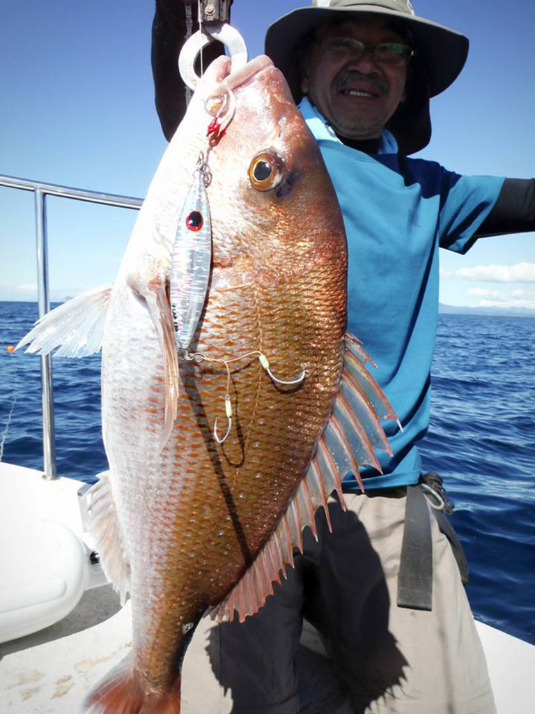 XESTA(ゼスタ)フラップ マダイ・青物