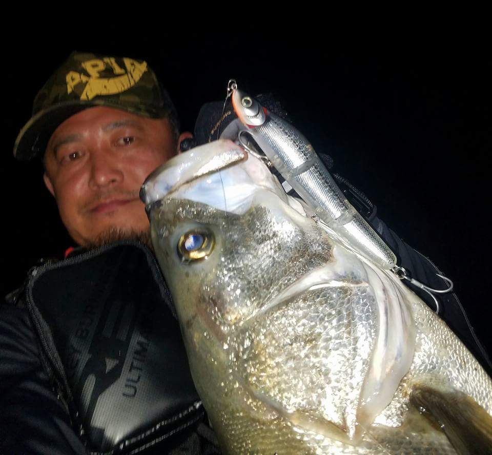 シーバスダービー5