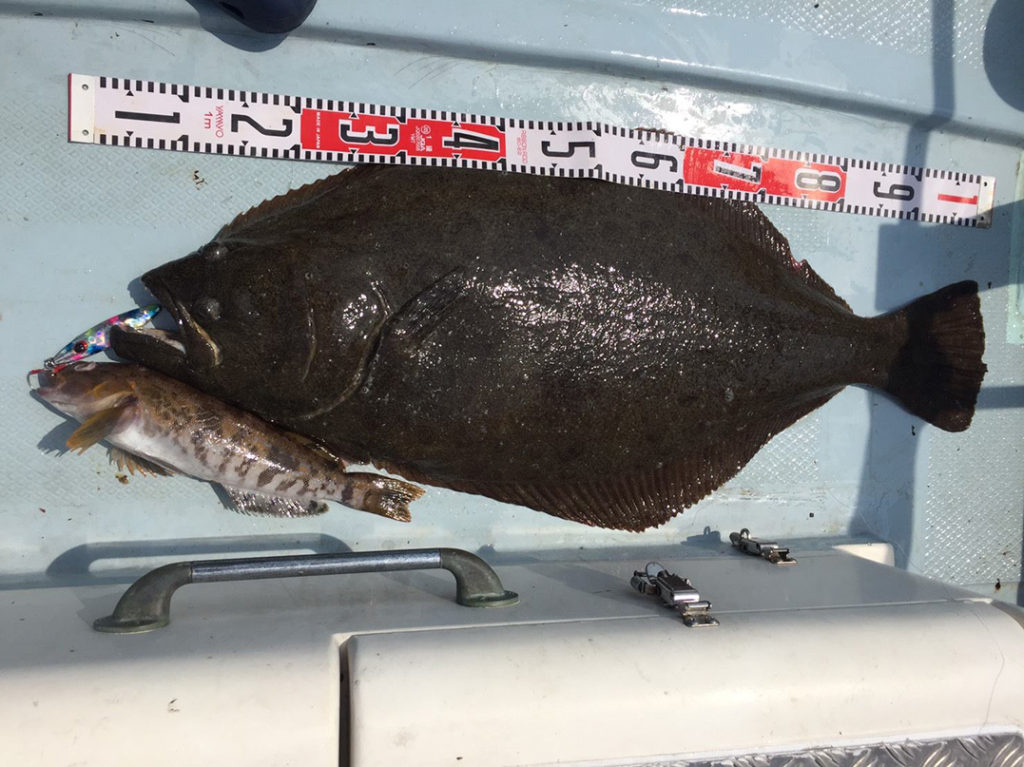 青森県鰺ヶ沢沖釣果2