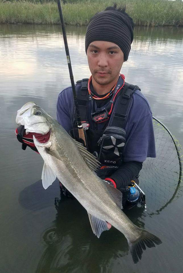 シーバスダービー1