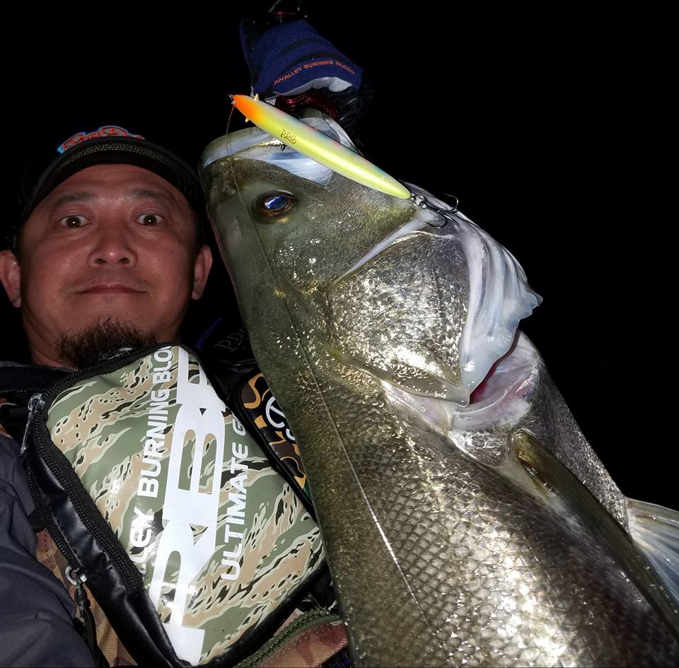 秋田県米代川シーバスダービー1